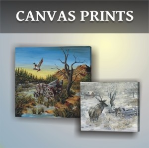Stretched Canvas Prints