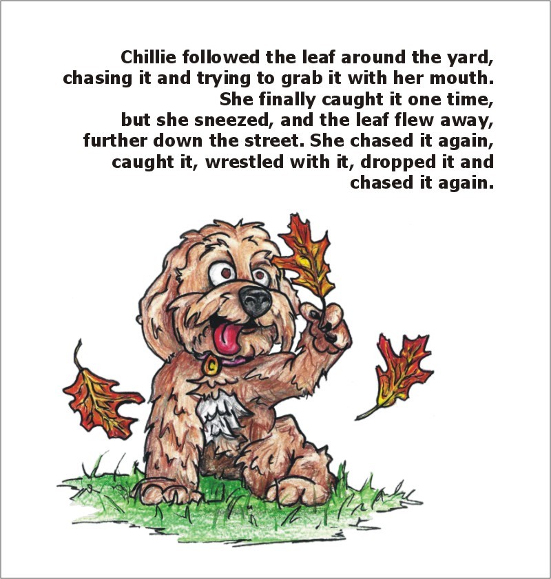 CHILLIE'S BIG ADVENTURE - Image 7